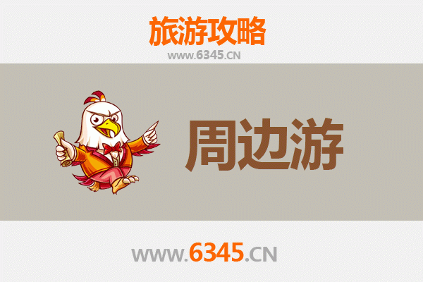 济南济阳周边游攻略：黄河风情与田园时光的完美融合
